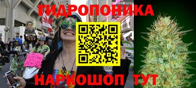 a pvp Краснознаменск