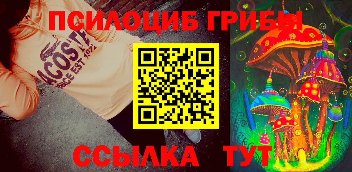 Галлюциногенные грибы Cubensis Керчь