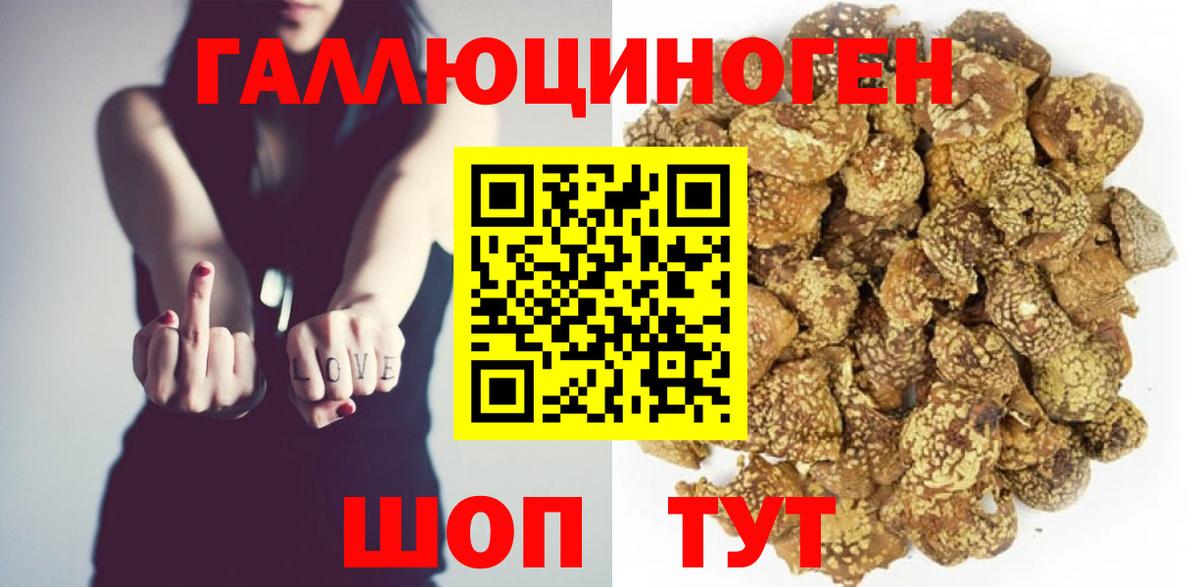 Псилоцибиновые грибы Psilocybe  купить  сайты  Керчь  Вход с VPN 